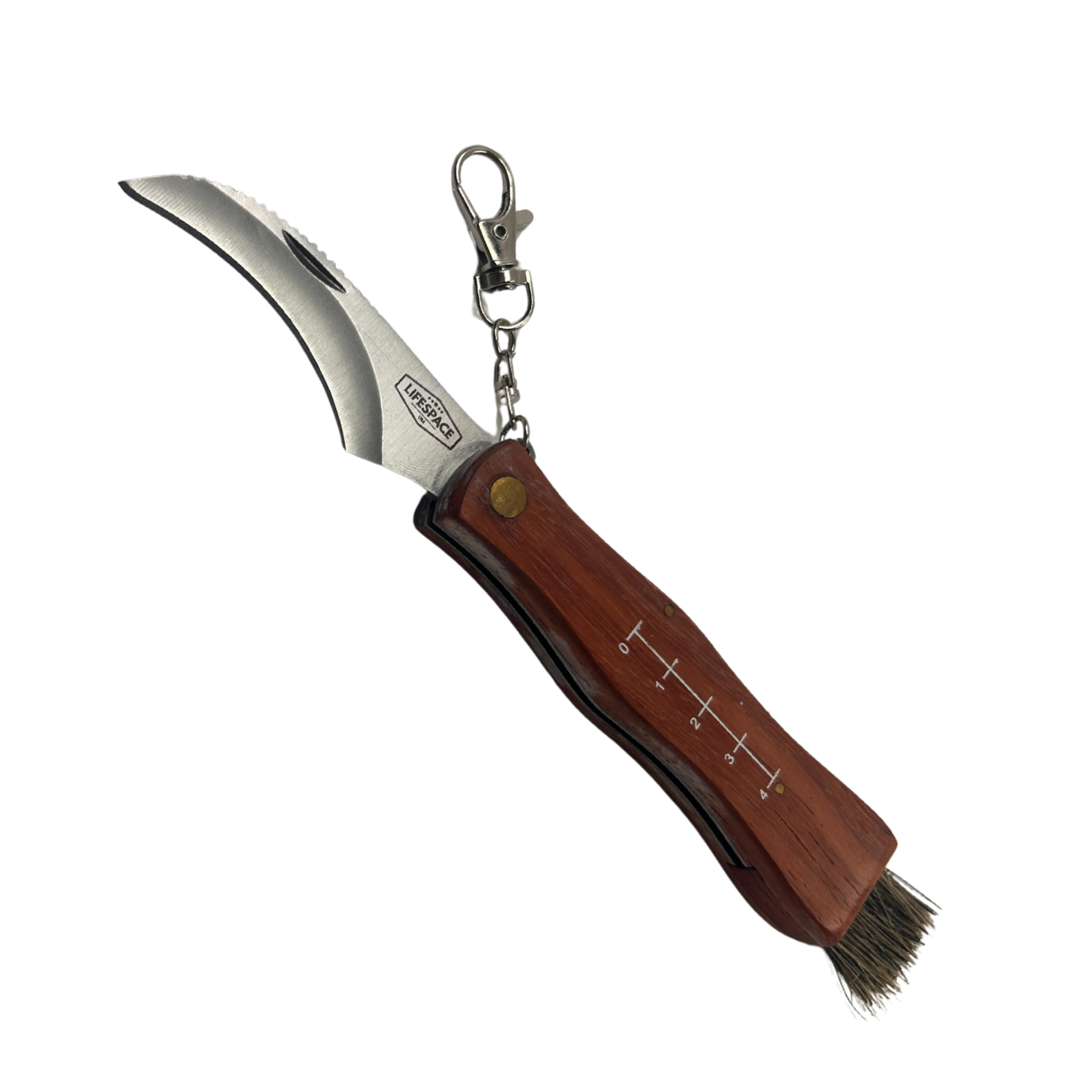 Lifespace Large Stainless Steel Folding Mushroom and Foraging Knife