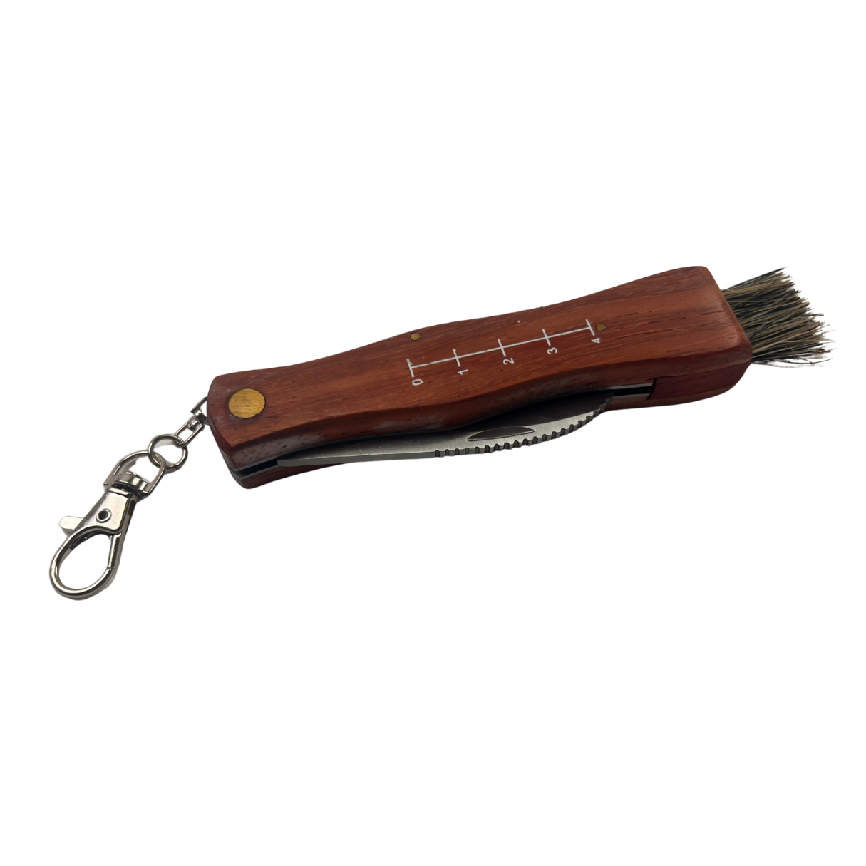 Lifespace Large Stainless Steel Folding Mushroom and Foraging Knife