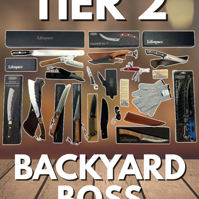 Lifespace BizBox™ Tier 2 - A Simple Way to Add Serious Revenue
