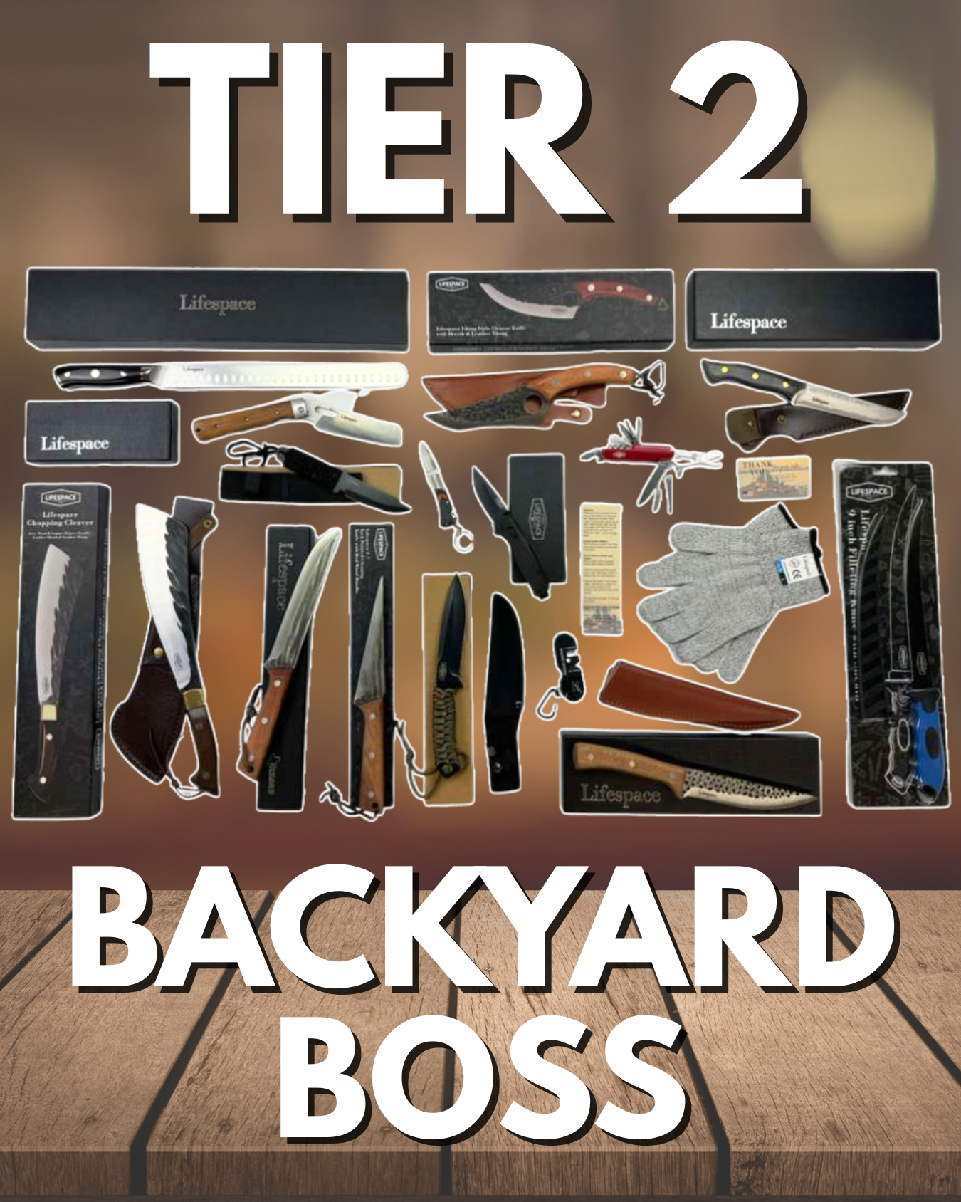 Lifespace BizBox Tier 2