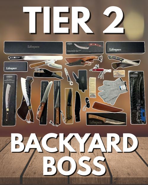 Lifespace BizBox Tier 2