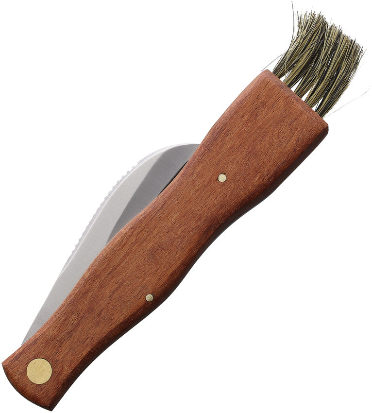 Lifespace Large Stainless Steel Folding Mushroom and Foraging Knife
