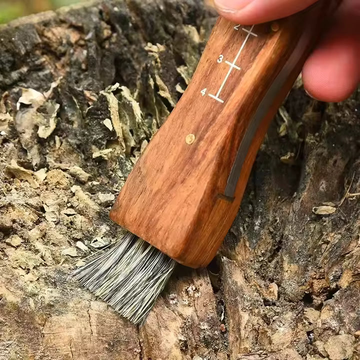 Lifespace Large Stainless Steel Folding Mushroom and Foraging Knife