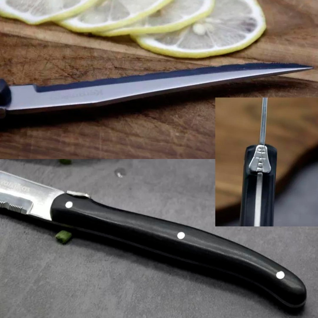 Lifespace 'Laguiole' 4-Piece Steak Knife Set in a Gift Box